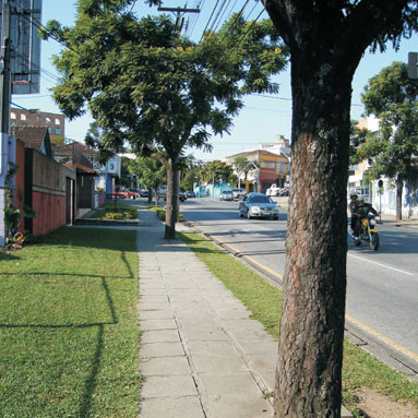 Arborização não planejada de modo a compatibilizar as árvores e os equipamentos urbanos. Árvores e calçadas foram colocadas no mesmo local, comprometendo a acessibilidade de pedestres.