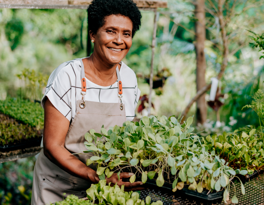 Programa Cultivar Energia
