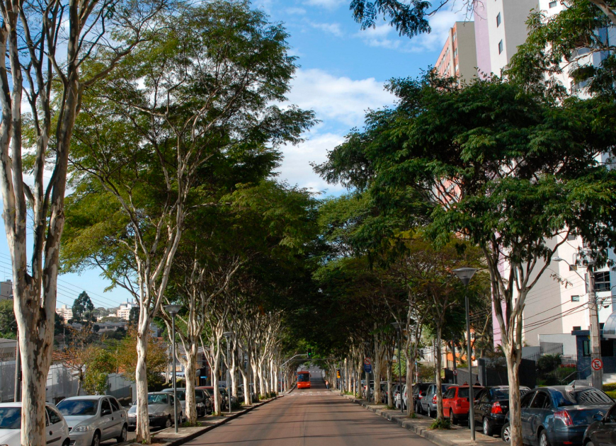 Floresta Urbana
