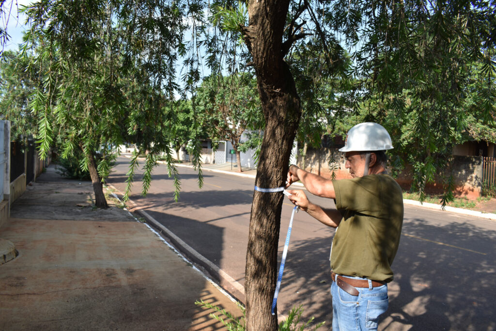 Técnico florestal mede a circunferência de árvore com fita métrica