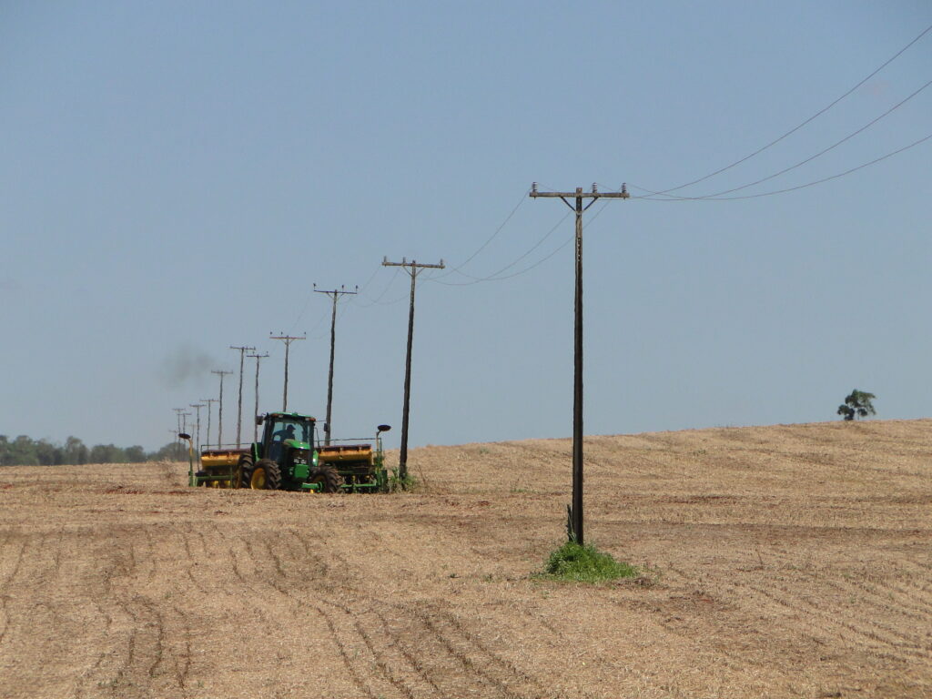 Maquina colheitadeira trafega no campo próximo aos postes de energia