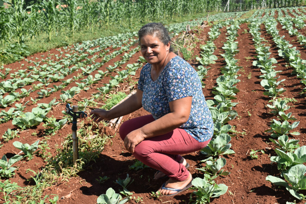 Agricultora Valdevina mostra o dispositivo de irrigação em meio à plantação com repolhos em desenvolvimento