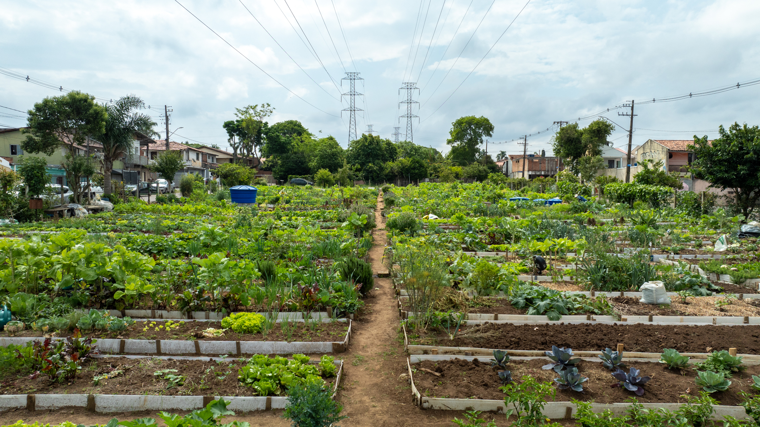 Imagem aérea de horta do programa Cultivar Energia em Curitiba